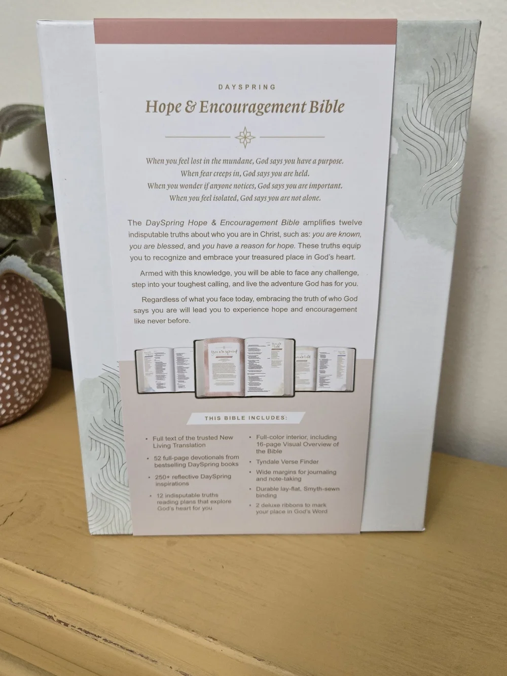 DaySpring Bible Bundle Including 8 Pack Of Cards & Promise Box Of 141 Cards. New